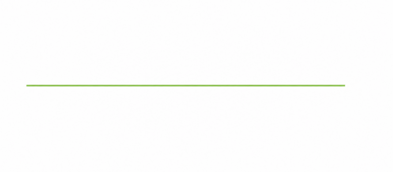 GRÜNE LINIE