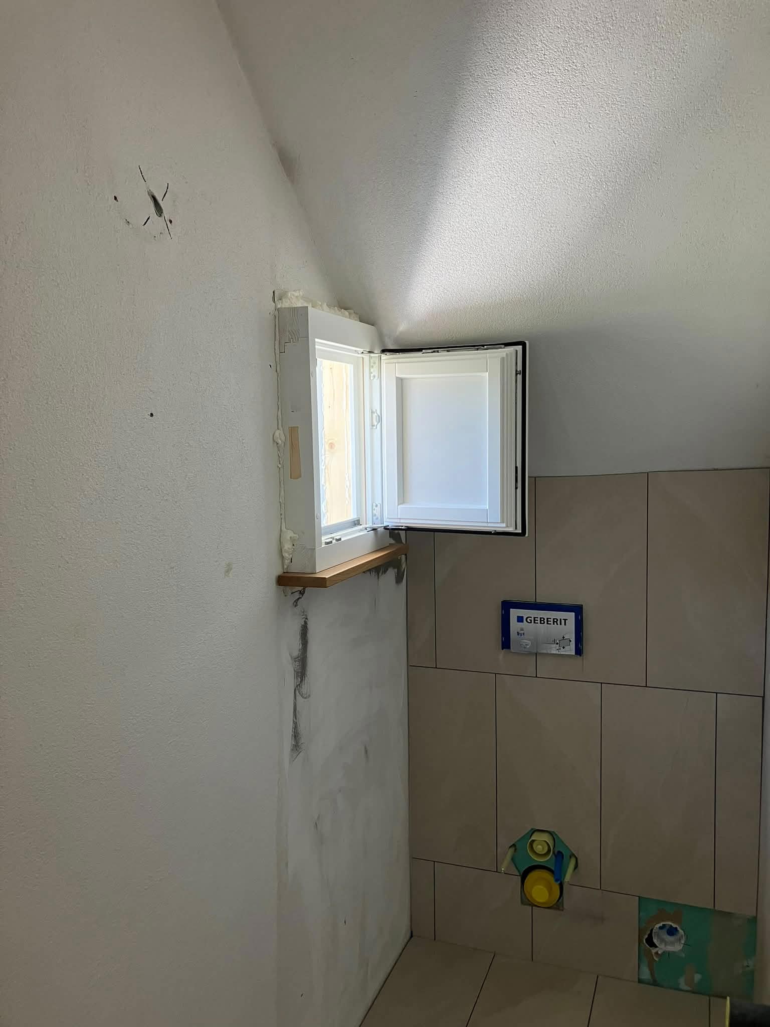 PIC 1